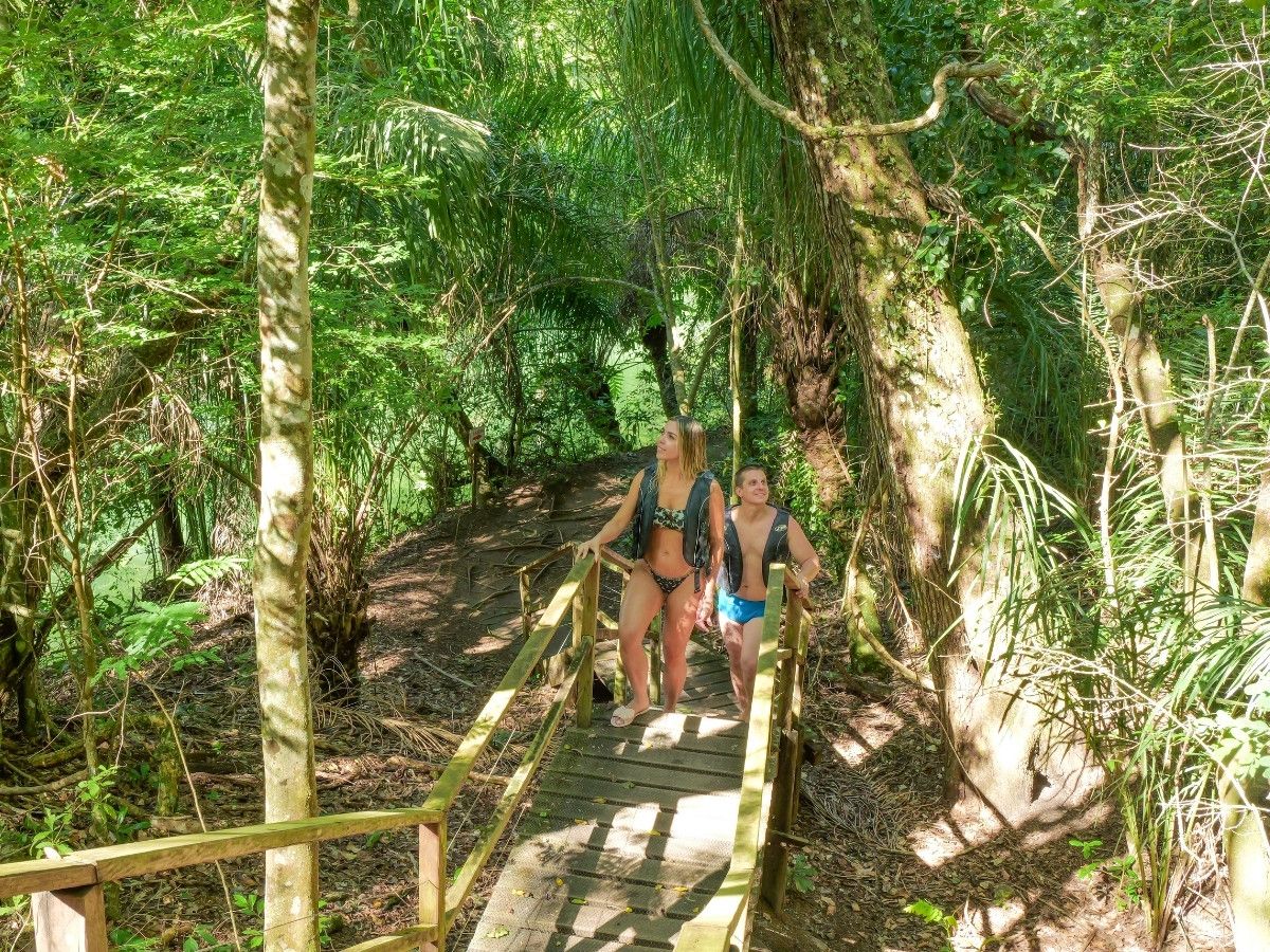 Durante o percurso há diversas paradas para os guias falarem sobre a fauna e flora