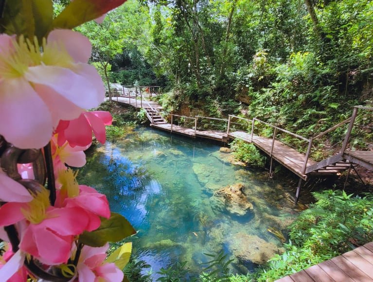 foto da nascente no parque das cachoeiras